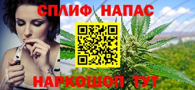 индика Гусь-Хрустальный