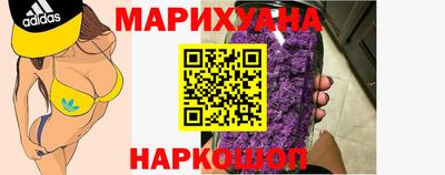 индика Гусь-Хрустальный