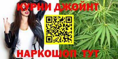 индика Гусь-Хрустальный